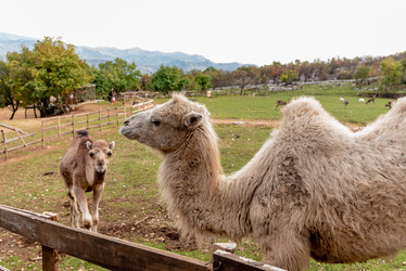 Similar image 22493266