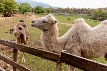 Similar image 22493282