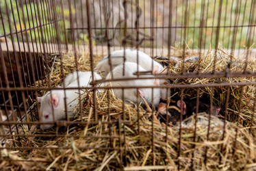 Similar image 22493057