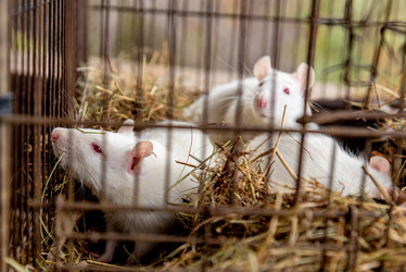 Similar image 22493072