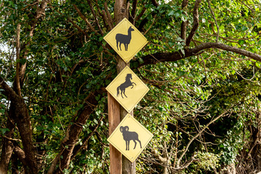 Similar image 22493133