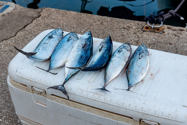 Similar image 22562557