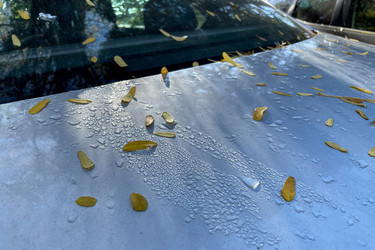 Similar image 22580041