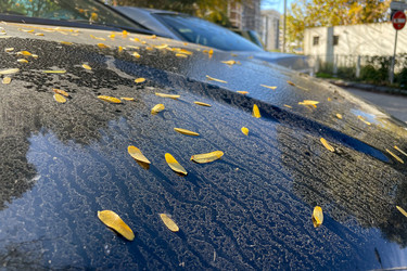 Similar image 22580055