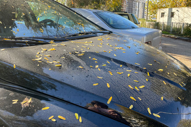 Similar image 22580070