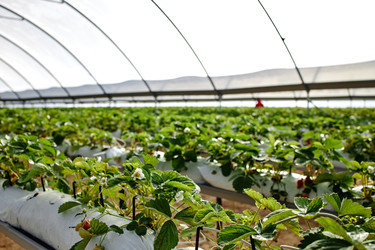 Similar image 22527794