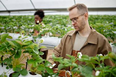 Similar image 22527902