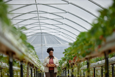 Similar image 22527898