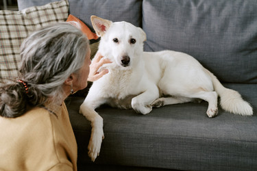 Similar image 22531543