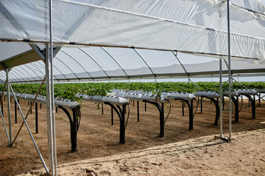 Similar image 22527947