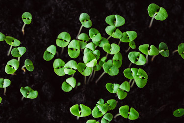 Similar image 22500702