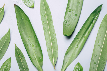 Similar image 22500613