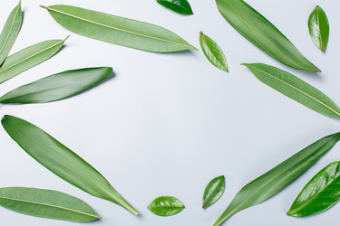 Similar image 22500614