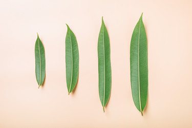 Similar image 22500627