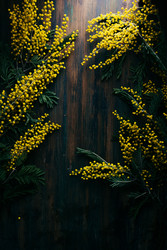 Similar image 22500643