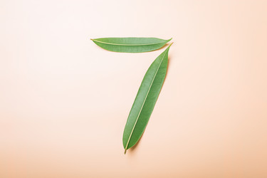 Similar image 22500644