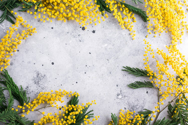 Similar image 22500657