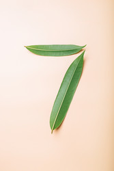 Similar image 22500658