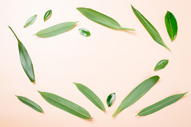 Similar image 22500672