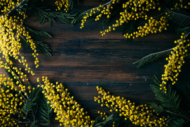 Similar image 22500673