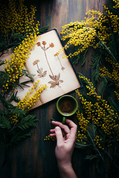 Similar image 22500687