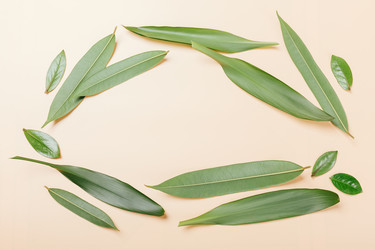 Similar image 22500691