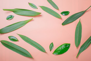 Similar image 22500712