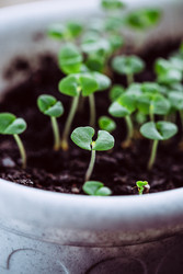 Similar image 22499983