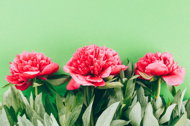 Similar image 22500541