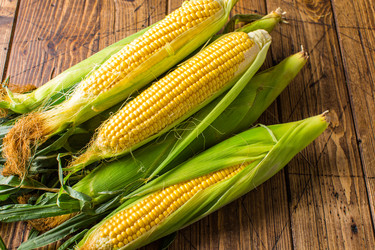 Similar image 22500556