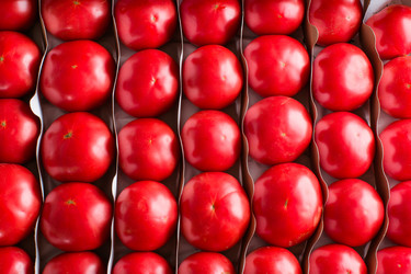 Similar image 22500648