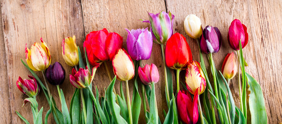 Similar image 22500649