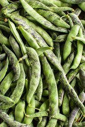 Similar image 22500665