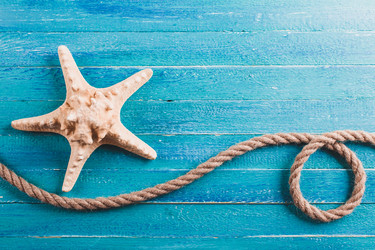 Similar image 22500679