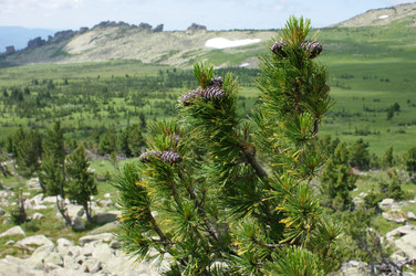 Similar image 22501252