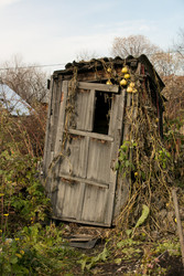 Similar image 22501223