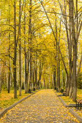 Similar image 22501240