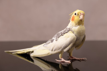 Similar image 22501249