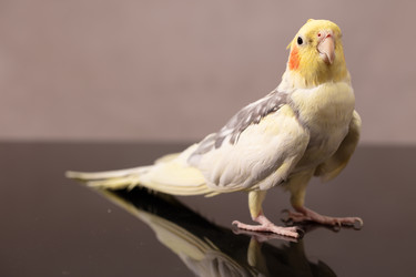 Similar image 22501254