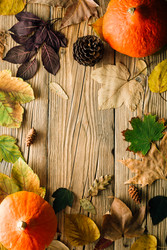 Similar image 22500784