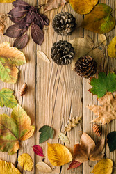 Similar image 22500797