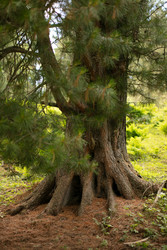 Similar image 22501263