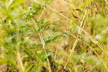 Similar image 22501271