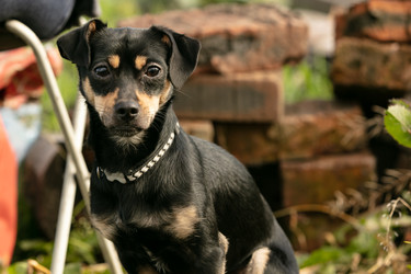 Similar image 22501273