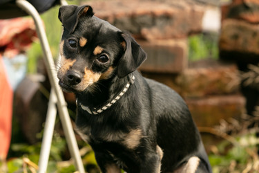 Similar image 22501275