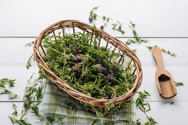 Similar image 22499461