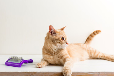 Similar image 22499990