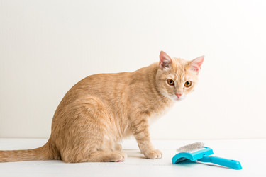 Similar image 22499992