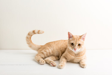 Similar image 22500563