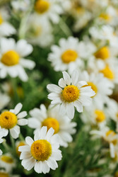 Similar image 22500564